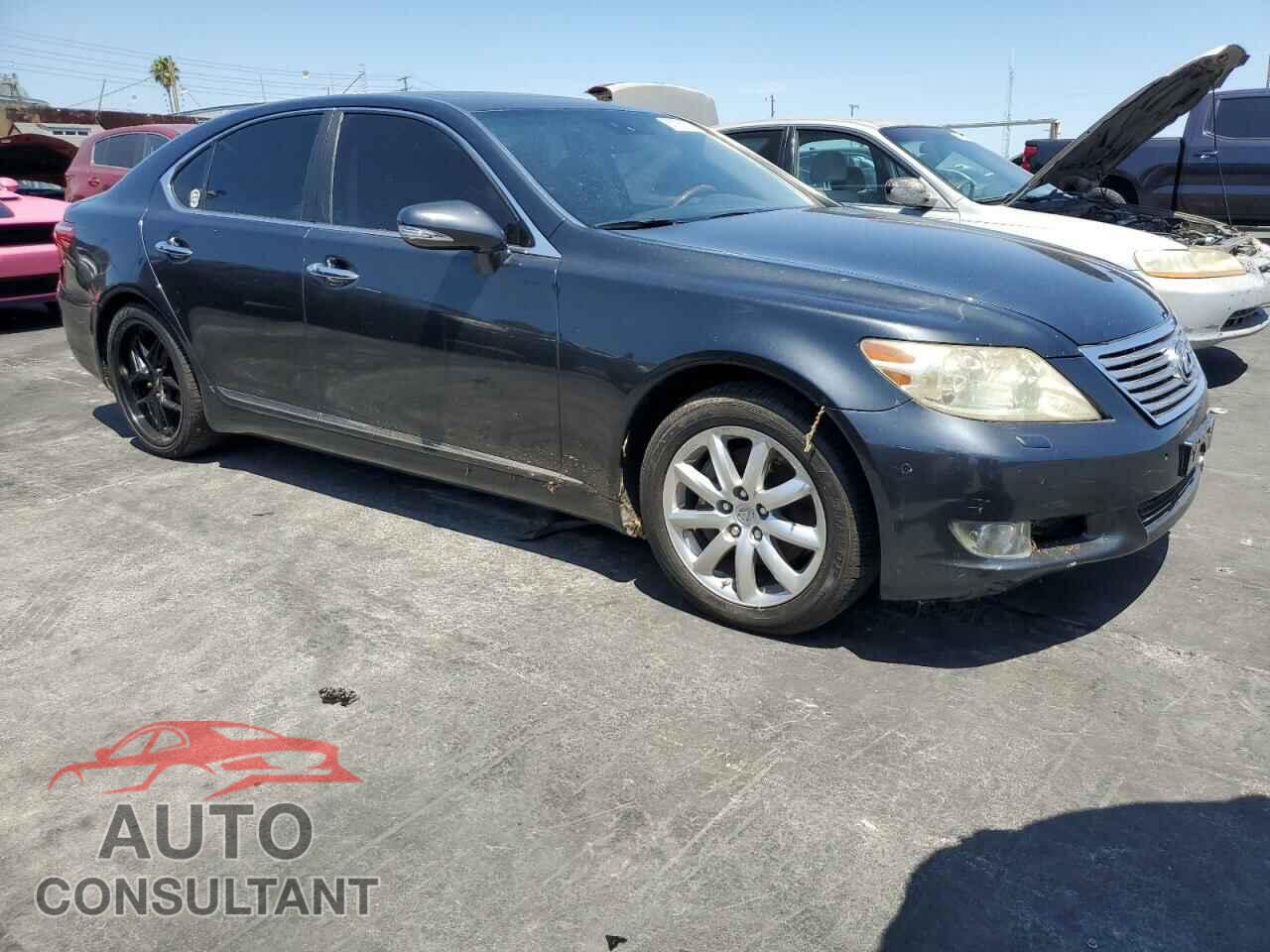 LEXUS LS460 2010 - JTHBL5EF2A5092421