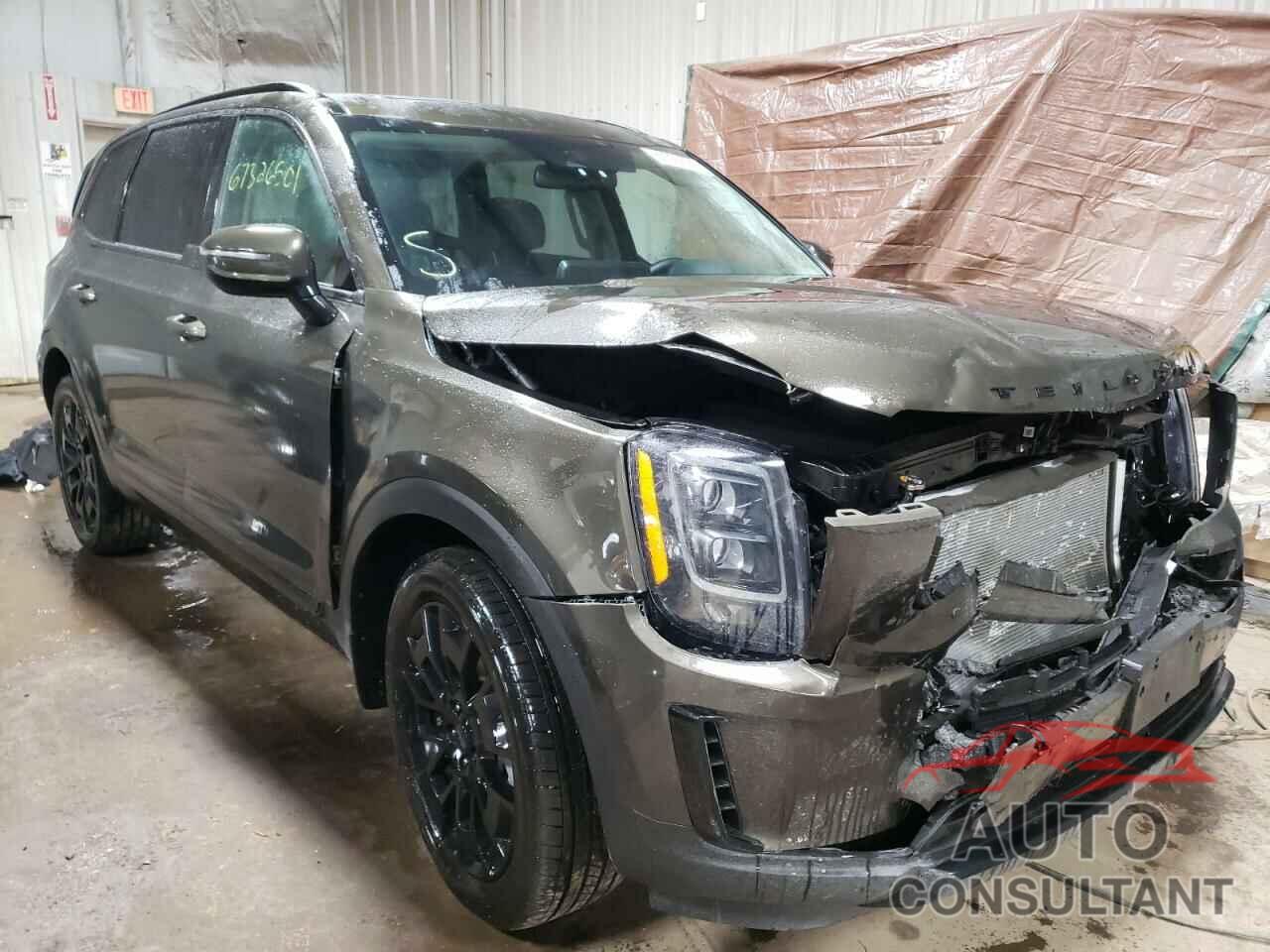 KIA TELLURIDE 2021 - 5XYP3DHC7MG187619