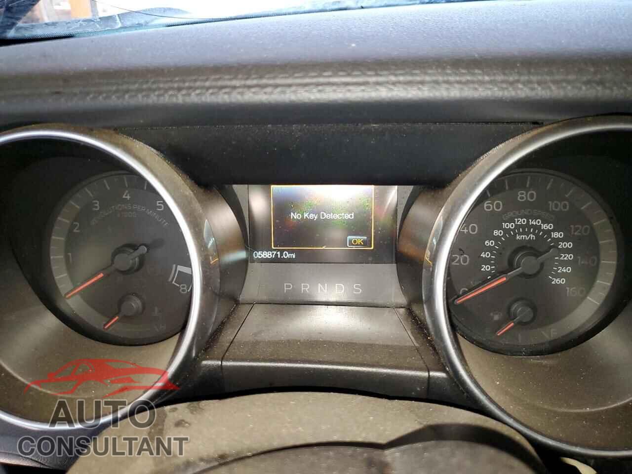 FORD MUSTANG 2019 - 1FA6P8CF8K5117762