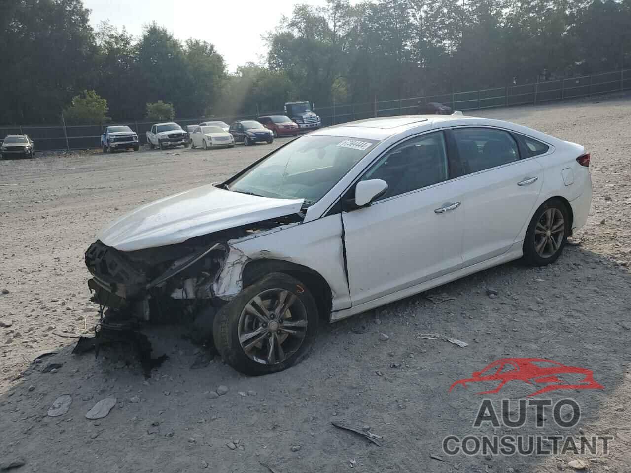 HYUNDAI SONATA 2018 - 5NPE34AF7JH603359