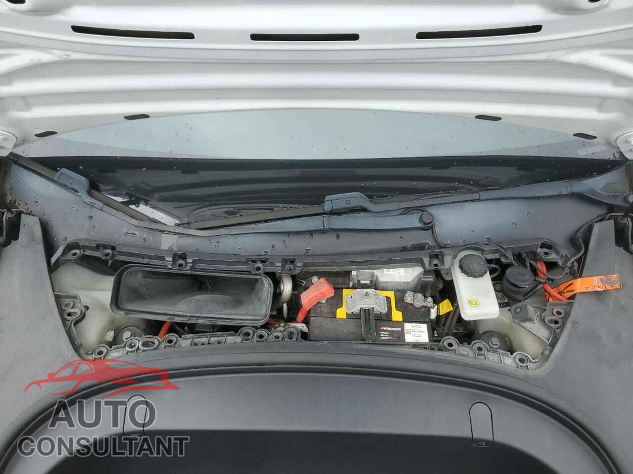 TESLA MODEL 3 2019 - 5YJ3E1EBXKF388020