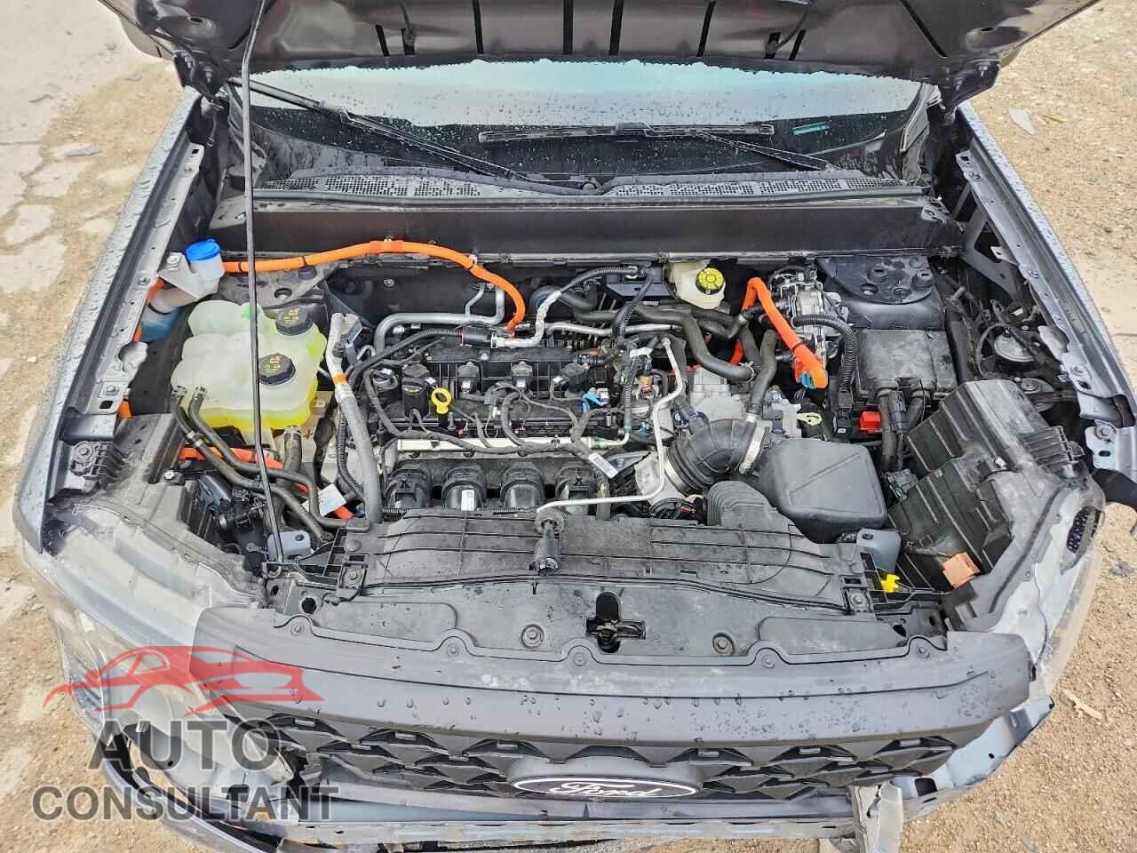 FORD MAVERICK 2025 - 3FTTW8A36SRB22576