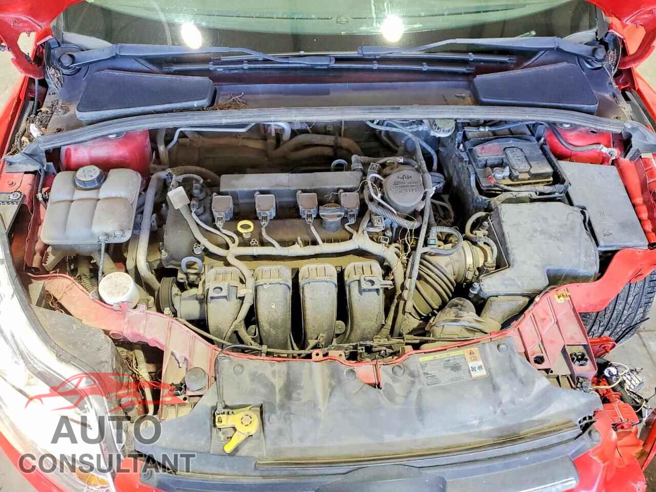 FORD FOCUS 2012 - 1FAHP3F20CL178332