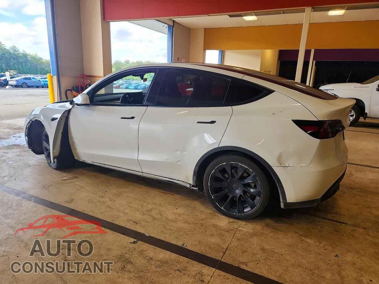 TESLA MODEL Y 2023 - 7SAYGAEE5PF808402