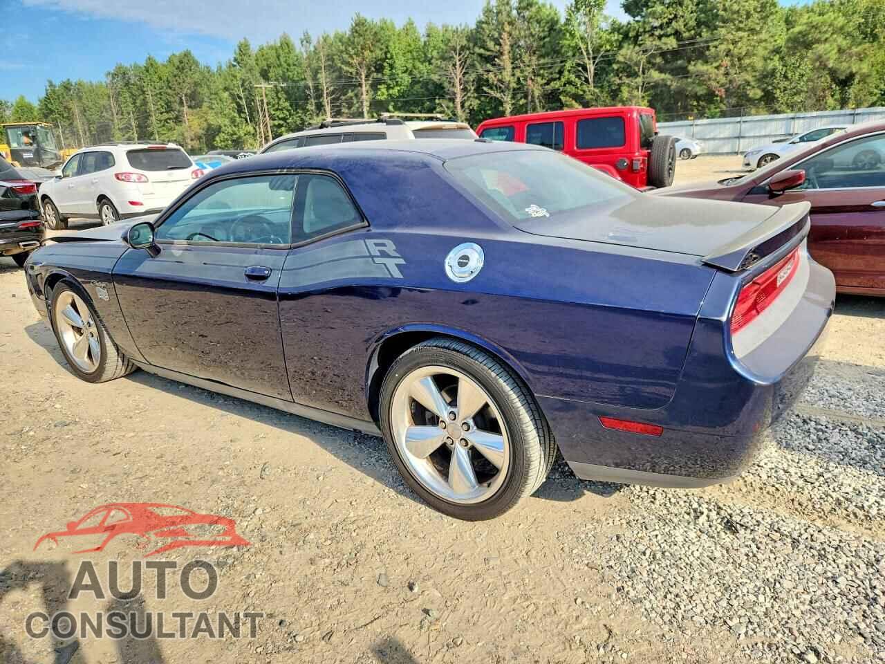 DODGE CHALLENGER 2013 - 2C3CDYBTXDH612400