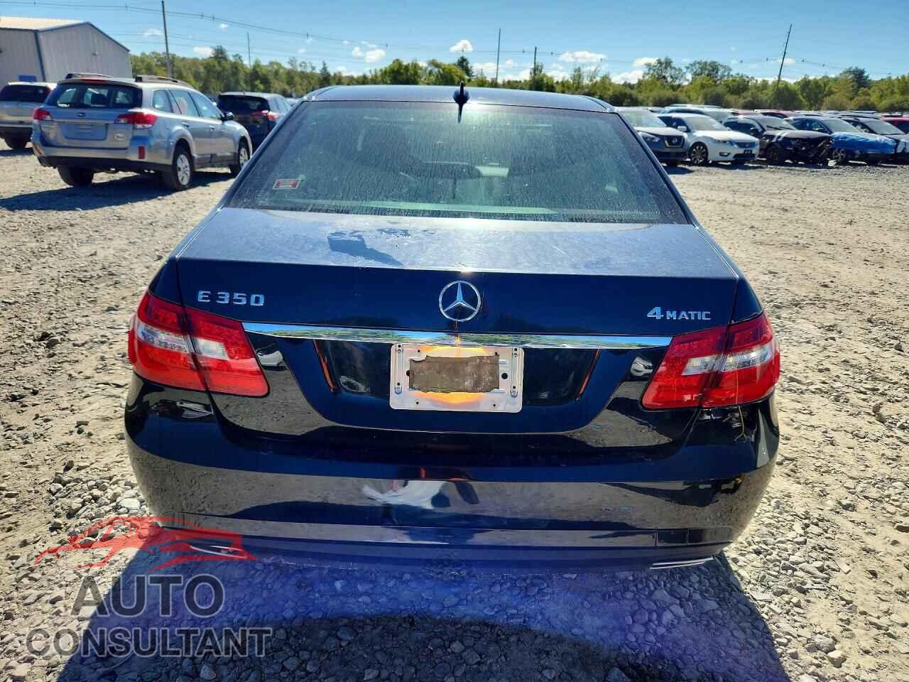 MERCEDES-BENZ E-CLASS 2010 - WDDHF8HBXAA074341