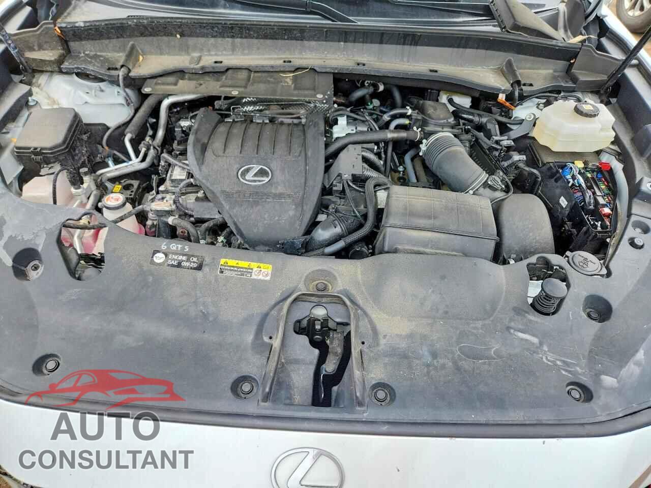 LEXUS UNKNOWN 2024 - 5TDABAB61RS003070