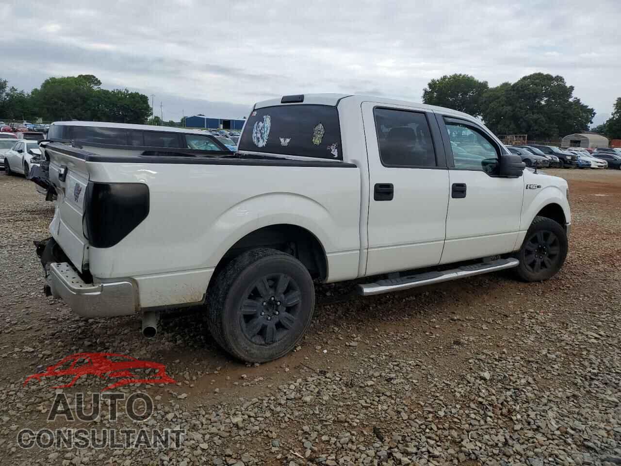 FORD F-150 2010 - 1FTEW1C8XAFB67783