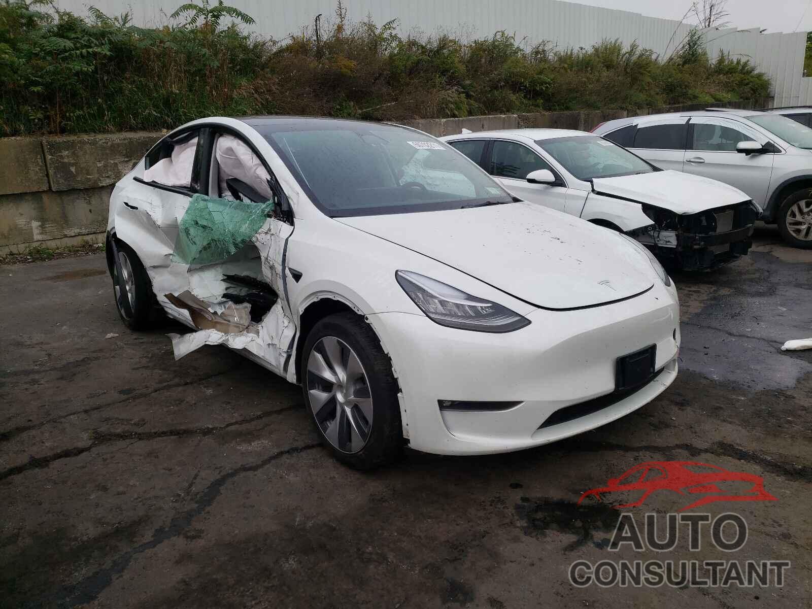 TESLA MODEL Y 2021 - 5YJYGDEE9MF192018