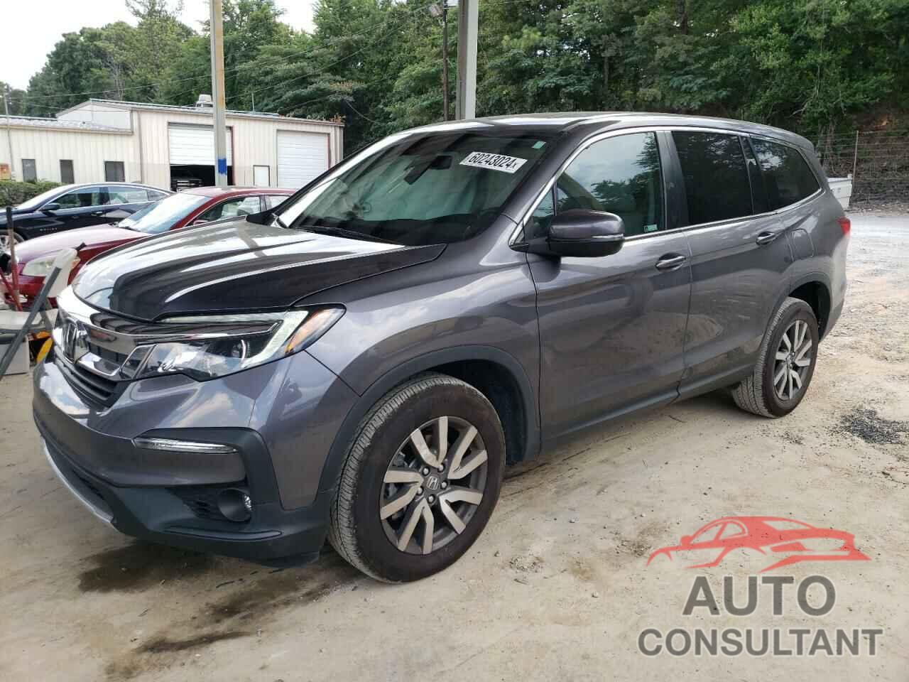 HONDA PILOT 2019 - 5FNYF6H51KB062869