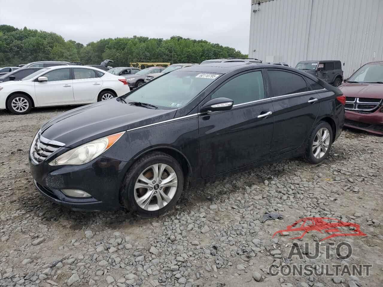 HYUNDAI SONATA 2011 - 5NPEC4AC1BH142652