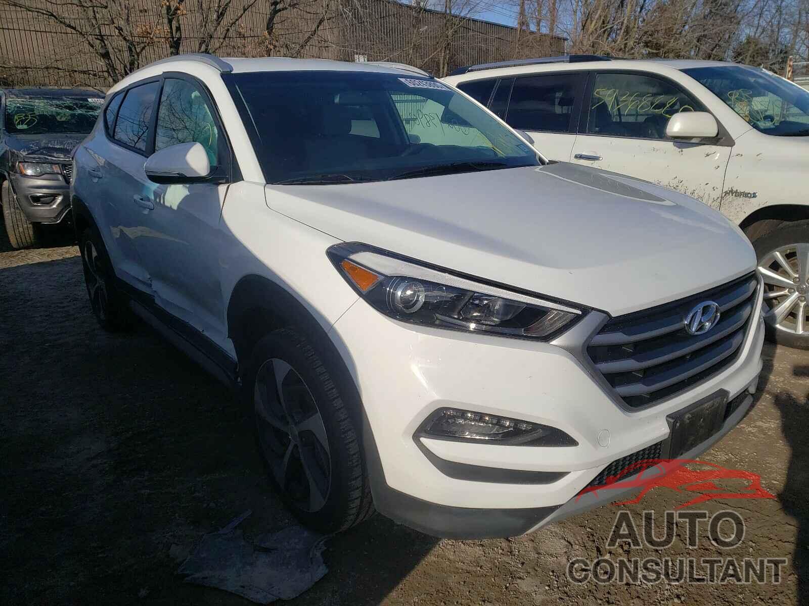 HYUNDAI TUCSON 2017 - KM8J3CA22HU503106
