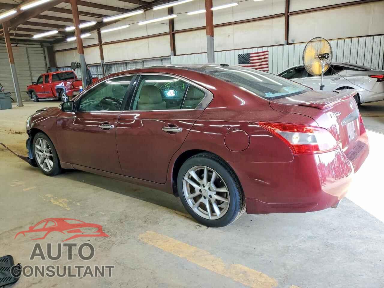 NISSAN MAXIMA 2011 - 1N4AA5AP1BC828866