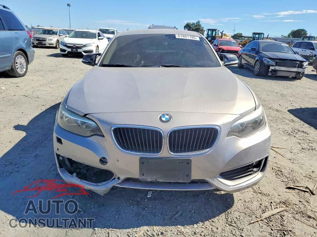 BMW 2 SERIES 2014 - WBA1F5C51EV256131