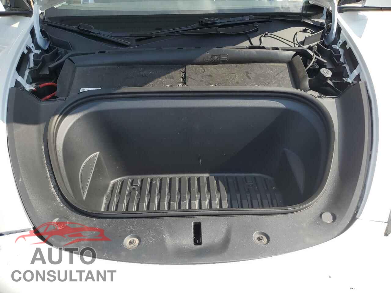 TESLA MODEL Y 2024 - 7SAYGDED4RF182725