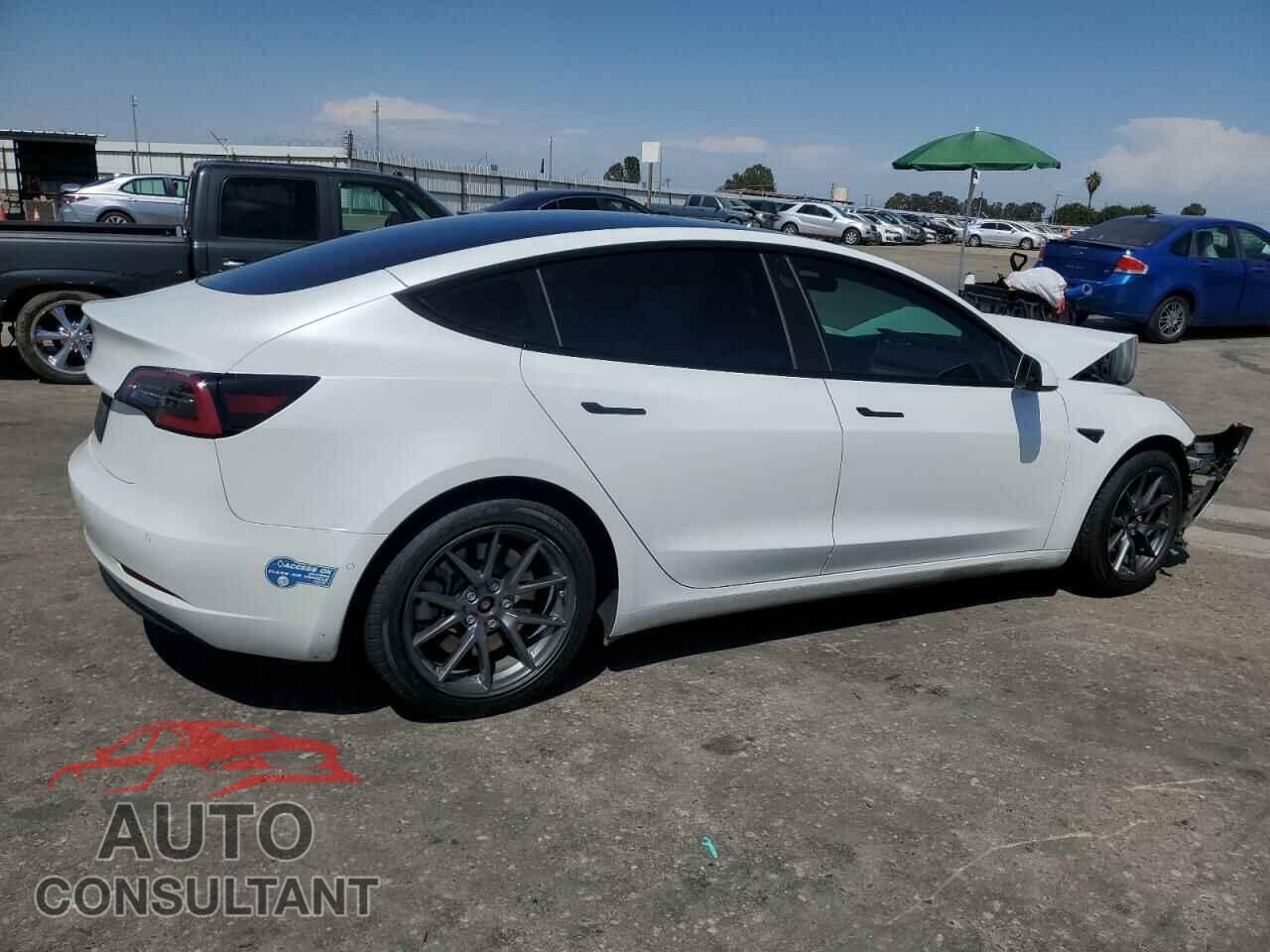 TESLA MODEL 3 2021 - 5YJ3E1EA3MF013628