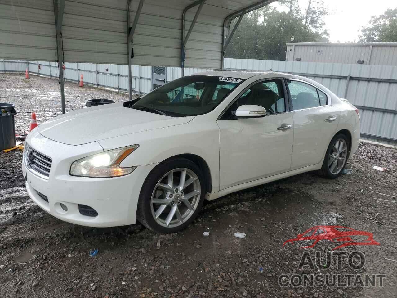 NISSAN MAXIMA 2009 - 1N4AA51E89C806128