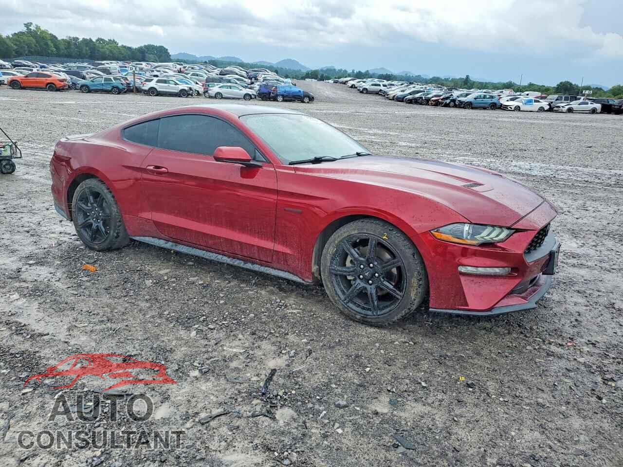 FORD MUSTANG 2019 - 1FA6P8TH4K5196610