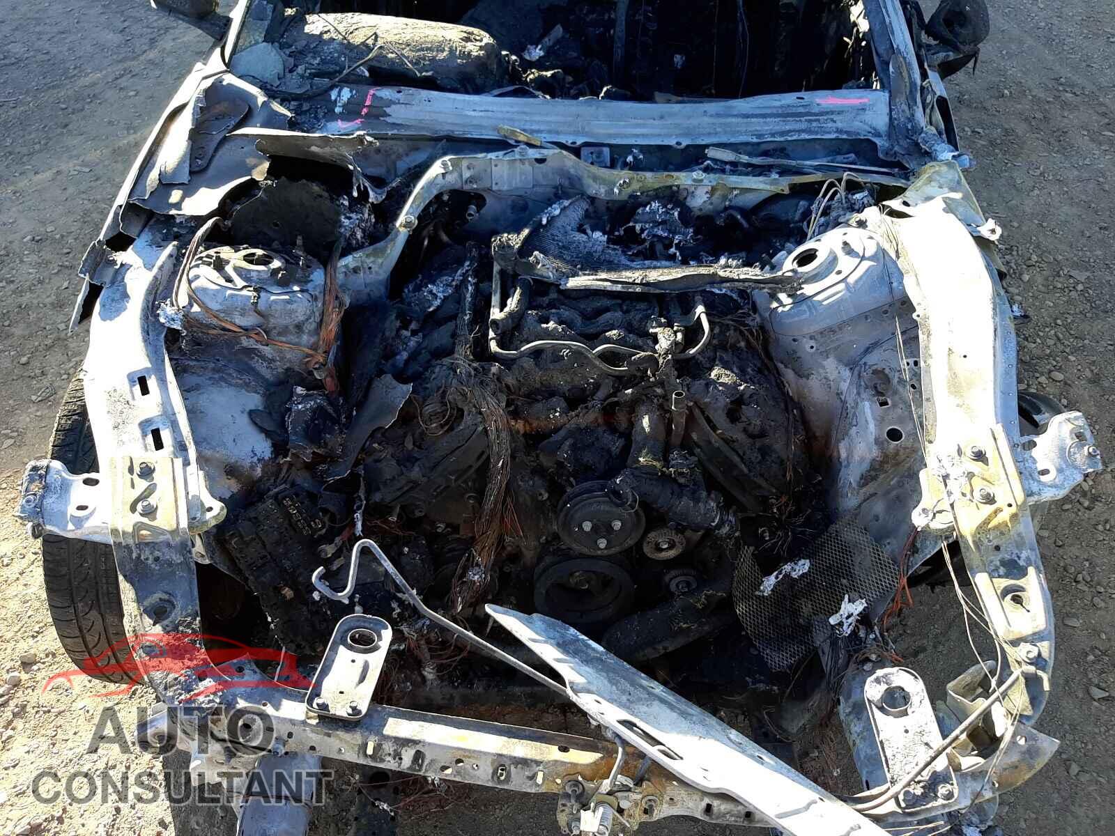 FORD MUSTANG 2017 - 1FA6P8CF4H5334007