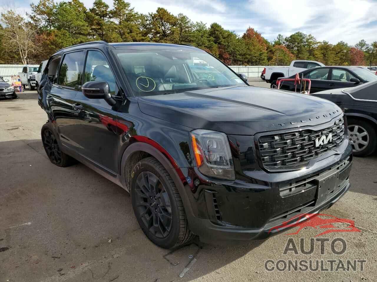 KIA TELLURIDE 2022 - 5XYP3DHC0NG223653