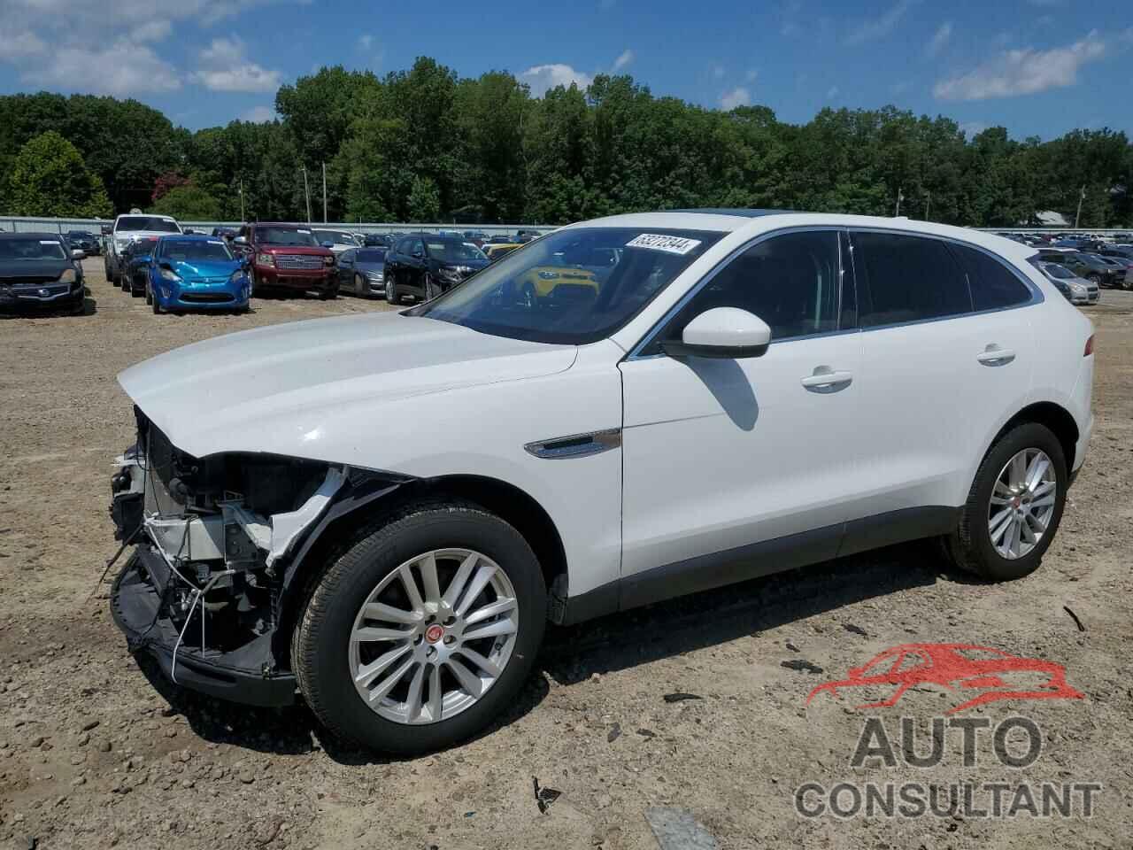 JAGUAR F-PACE 2019 - SADCK2GX0KA390590