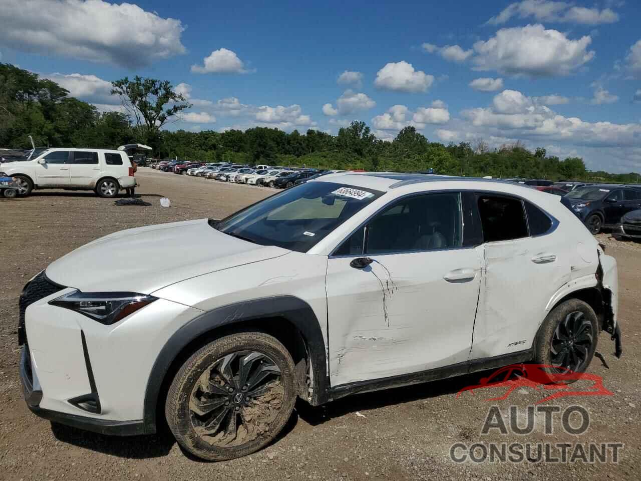 LEXUS UX 250H 2020 - JTHP9JBH2L2021968