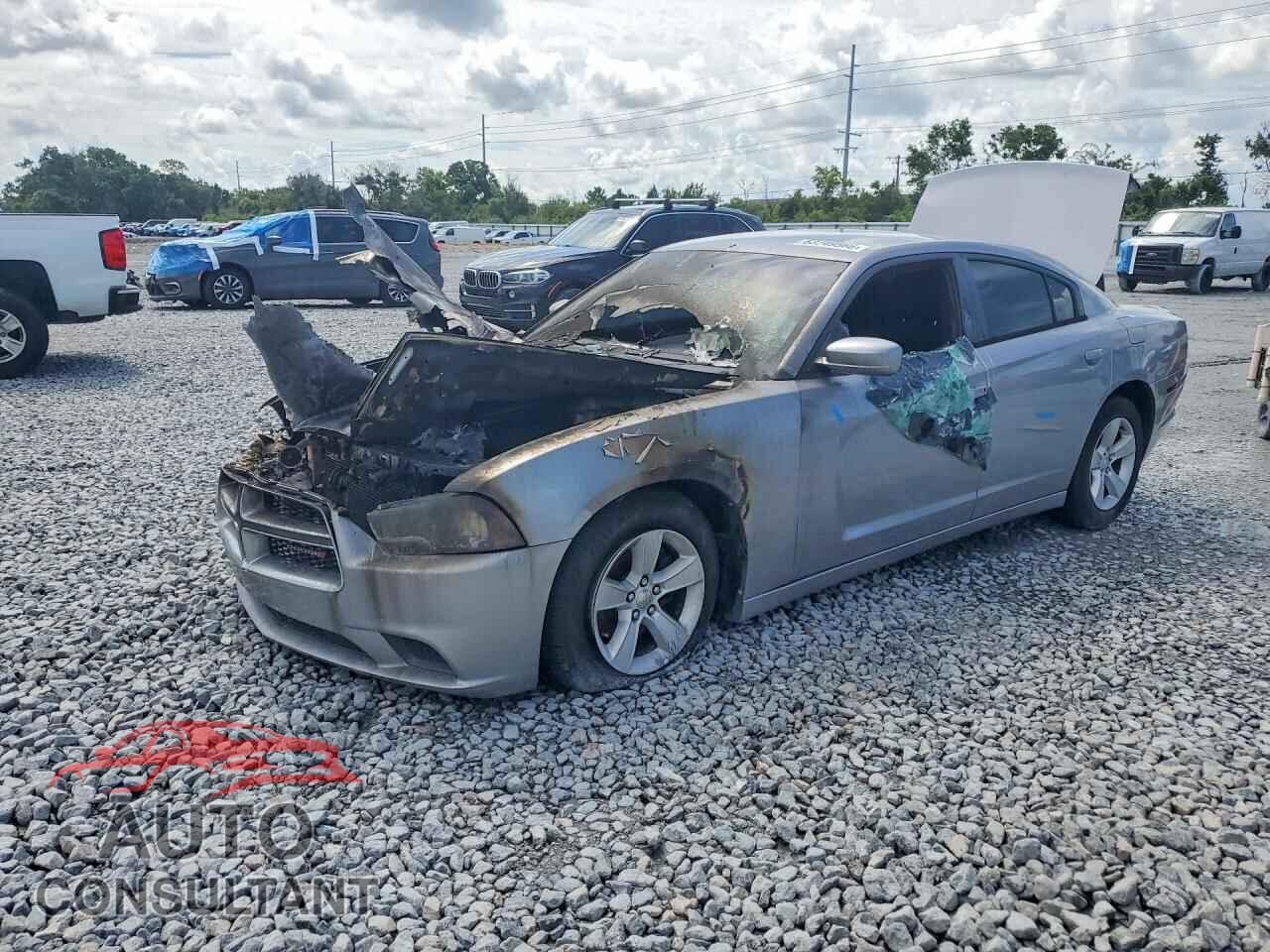 DODGE CHARGER 2013 - 2C3CDXBG3DH720466