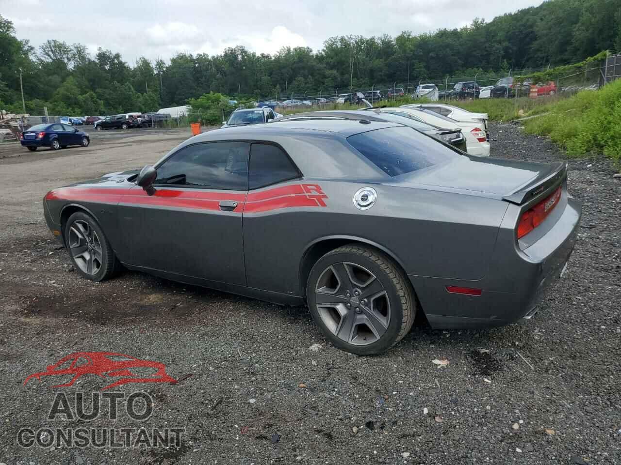 DODGE CHALLENGER 2012 - 2C3CDYBT7CH253733
