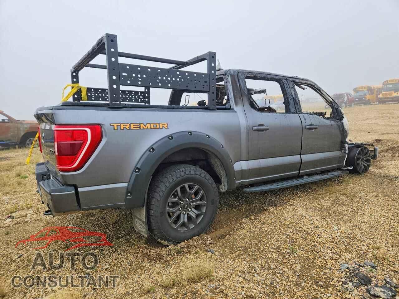 FORD F150 2023 - 1FTEW1E82PFC14830