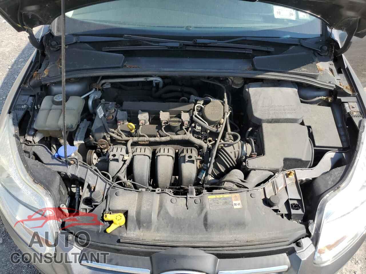 FORD FOCUS 2013 - 1FADP3K26DL318213