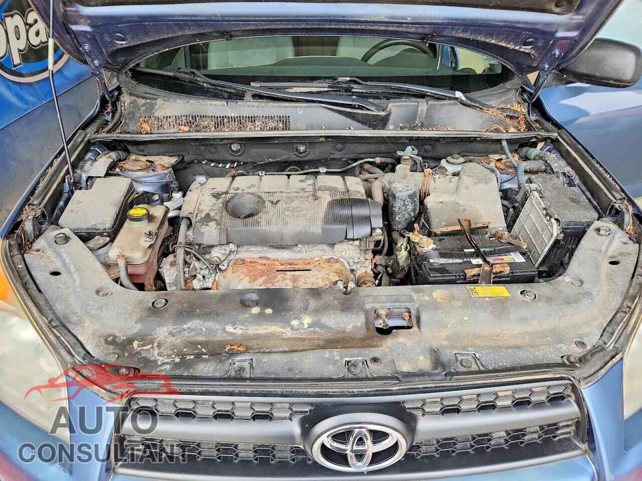 TOYOTA RAV4 2011 - 2T3BF4DV8BW158007