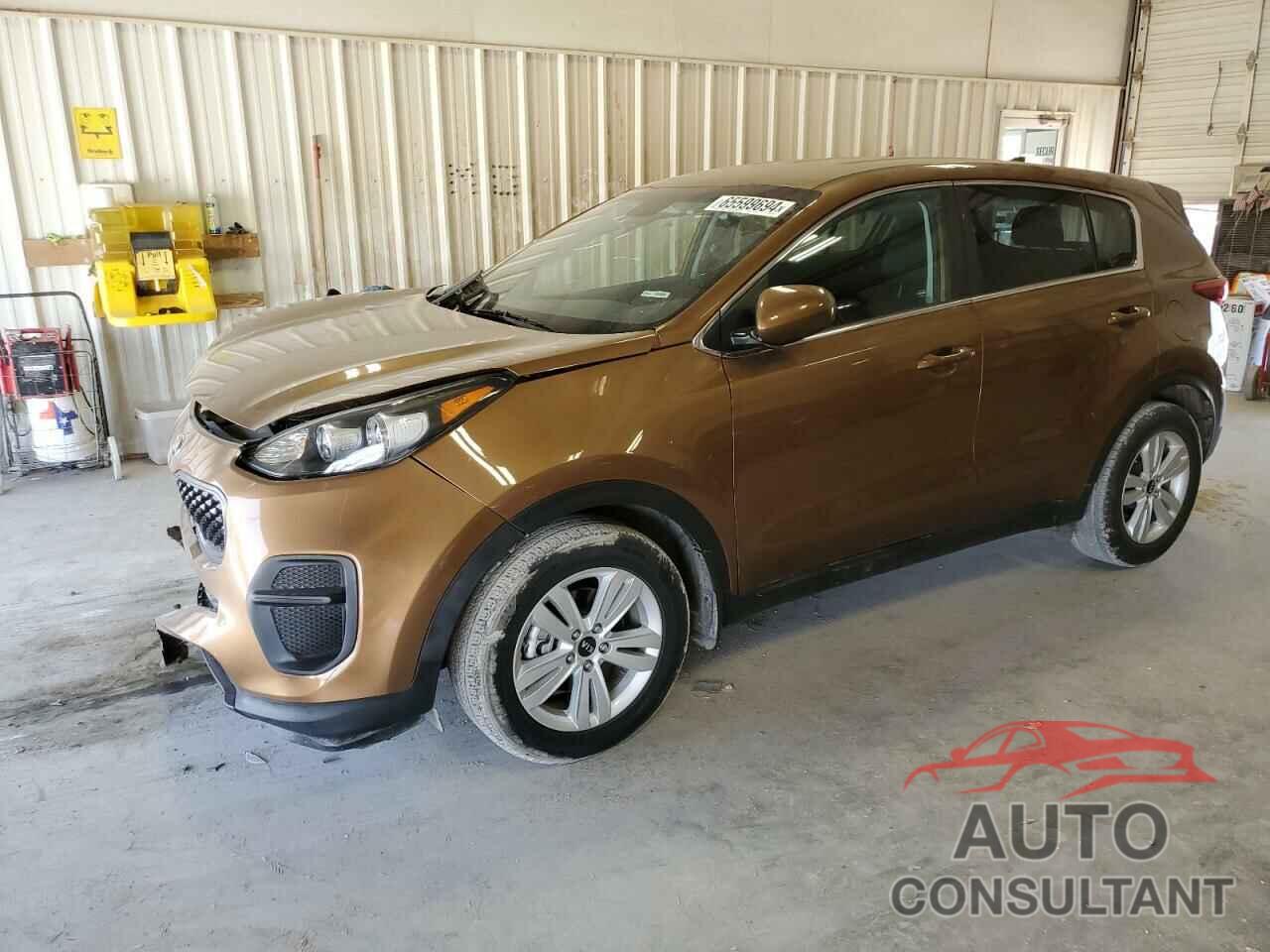 KIA SPORTAGE 2019 - KNDPM3AC1K7554381