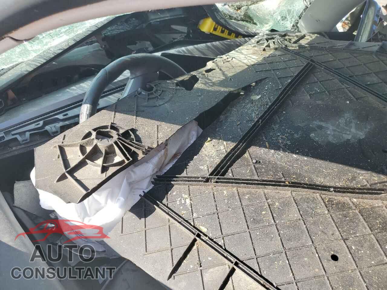 TESLA MODEL 3 2019 - 5YJ3E1EB2KF408356