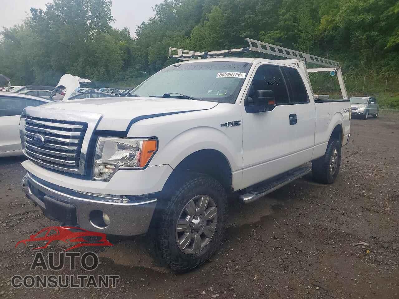 FORD F150 2012 - 1FTFX1EF6CFC86771