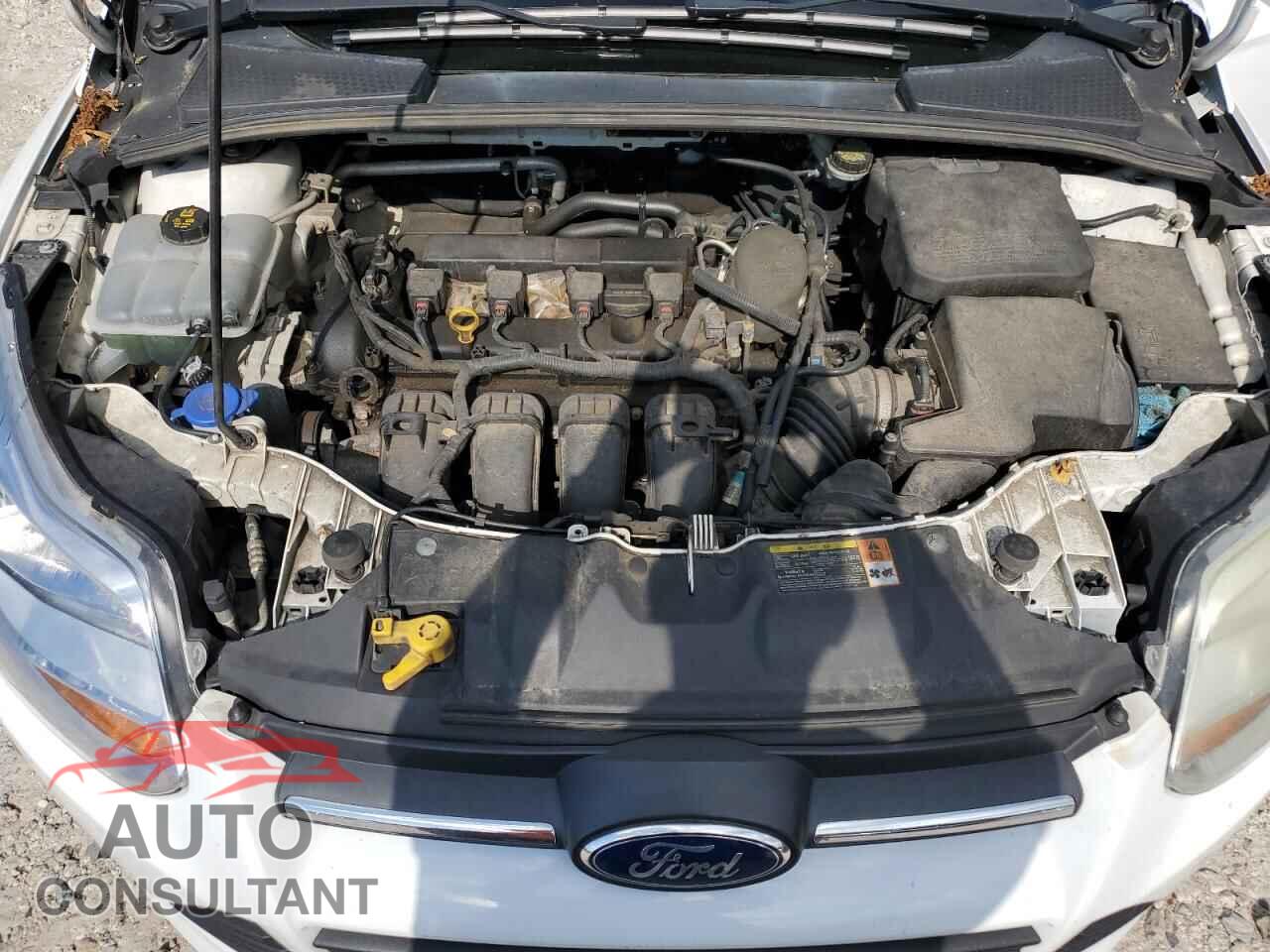 FORD FOCUS 2013 - 1FADP3F20DL342260