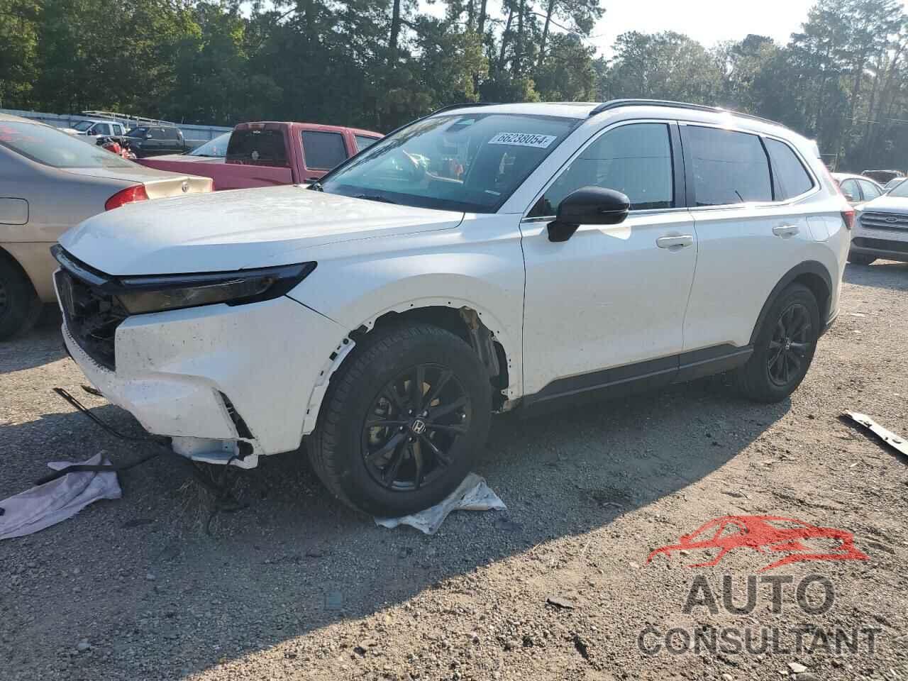 HONDA CRV 2024 - 7FARS5H87RE028289