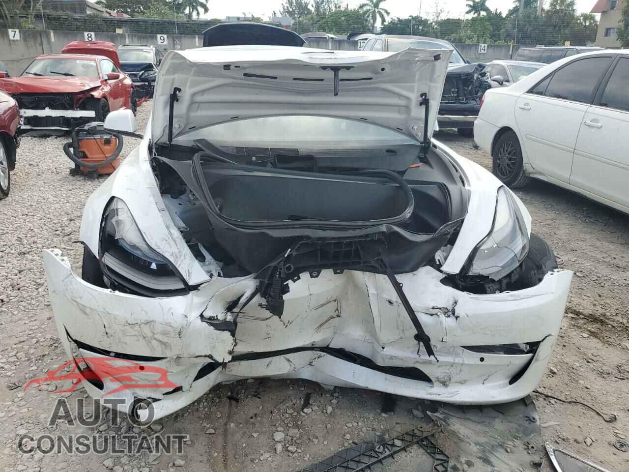 TESLA MODEL 3 2021 - 5YJ3E1ECXMF050287