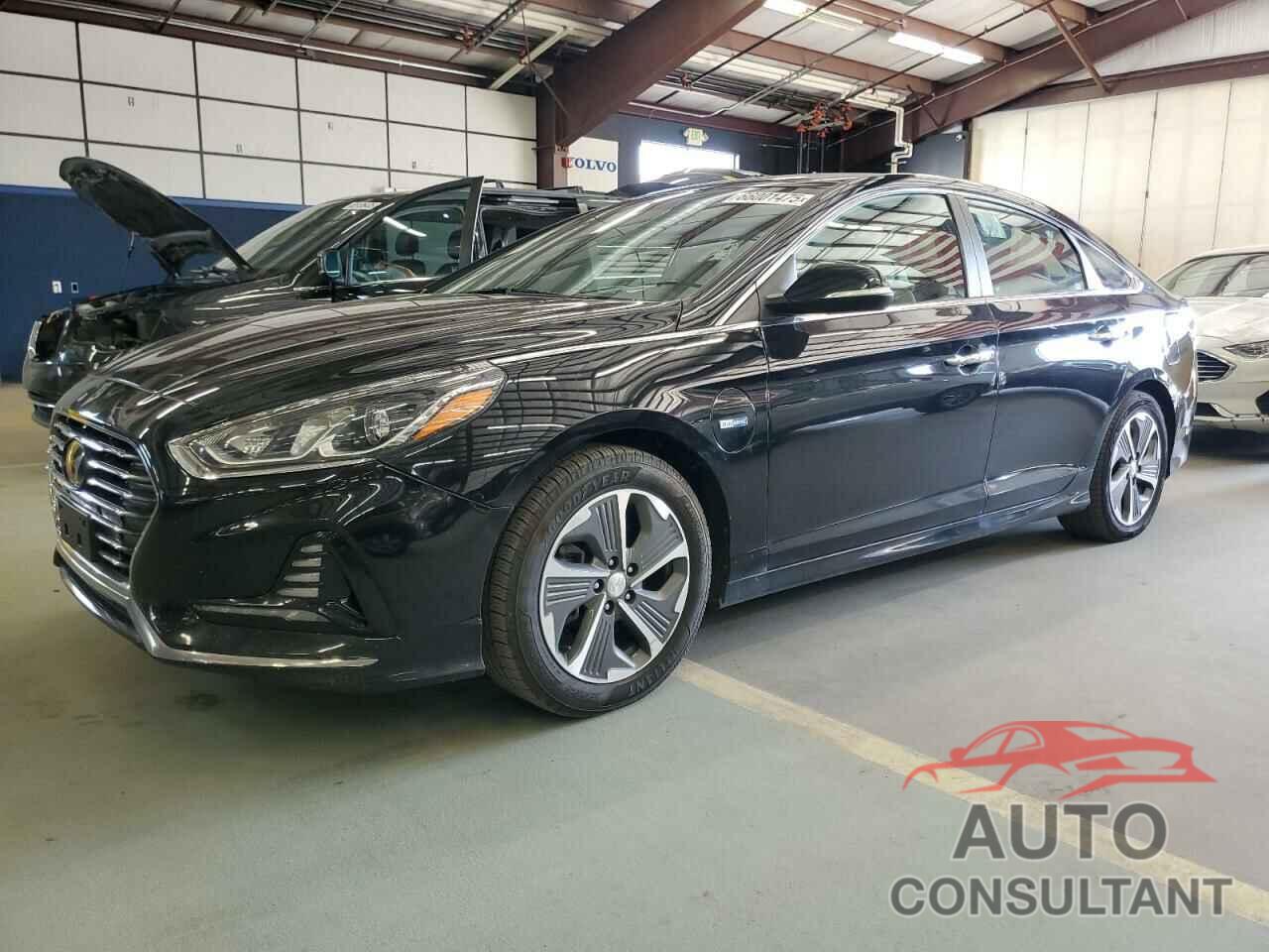 HYUNDAI SONATA 2019 - KMHE14L27KA093986