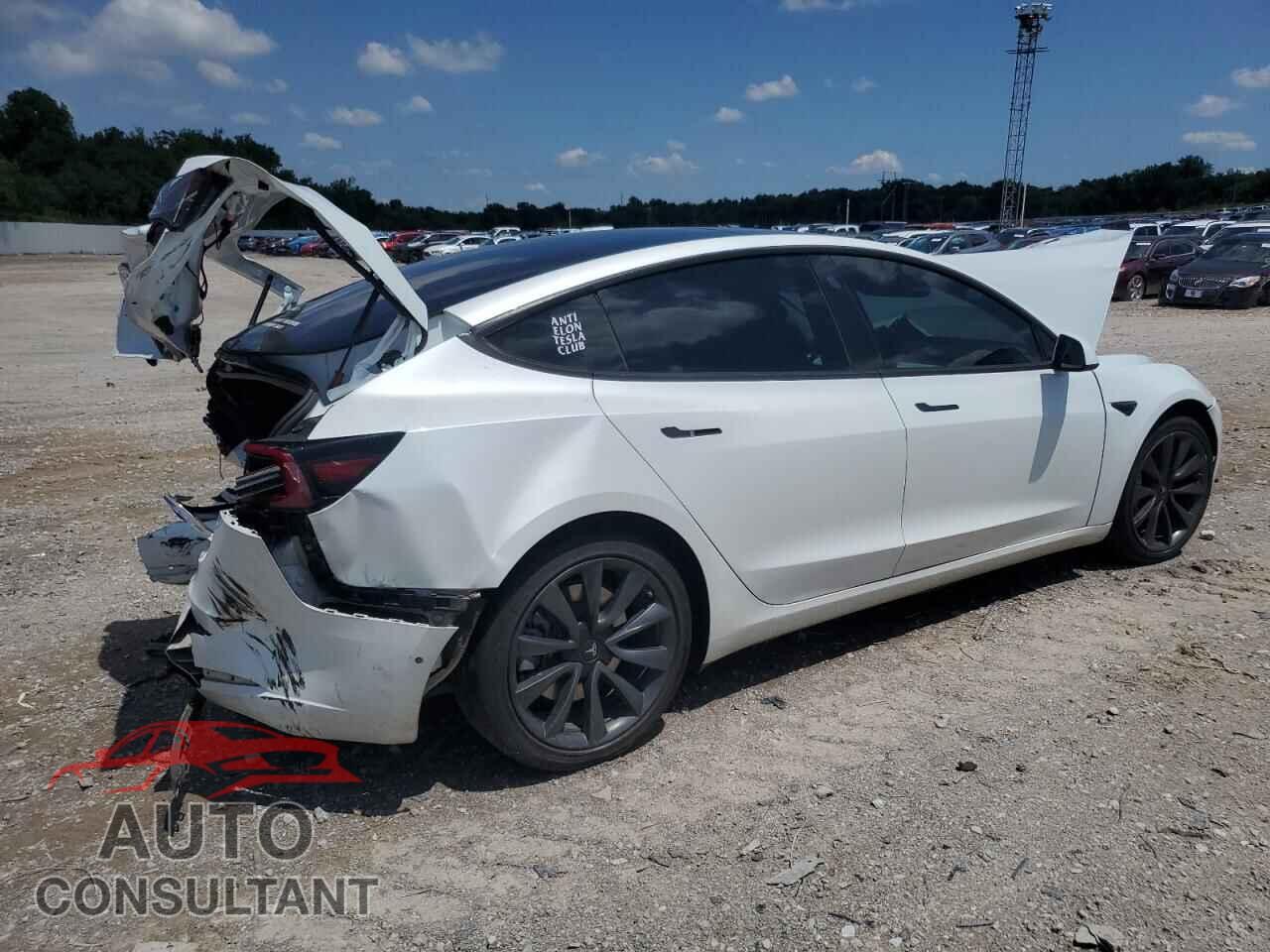 TESLA MODEL 3 2019 - 5YJ3E1EB1KF494940