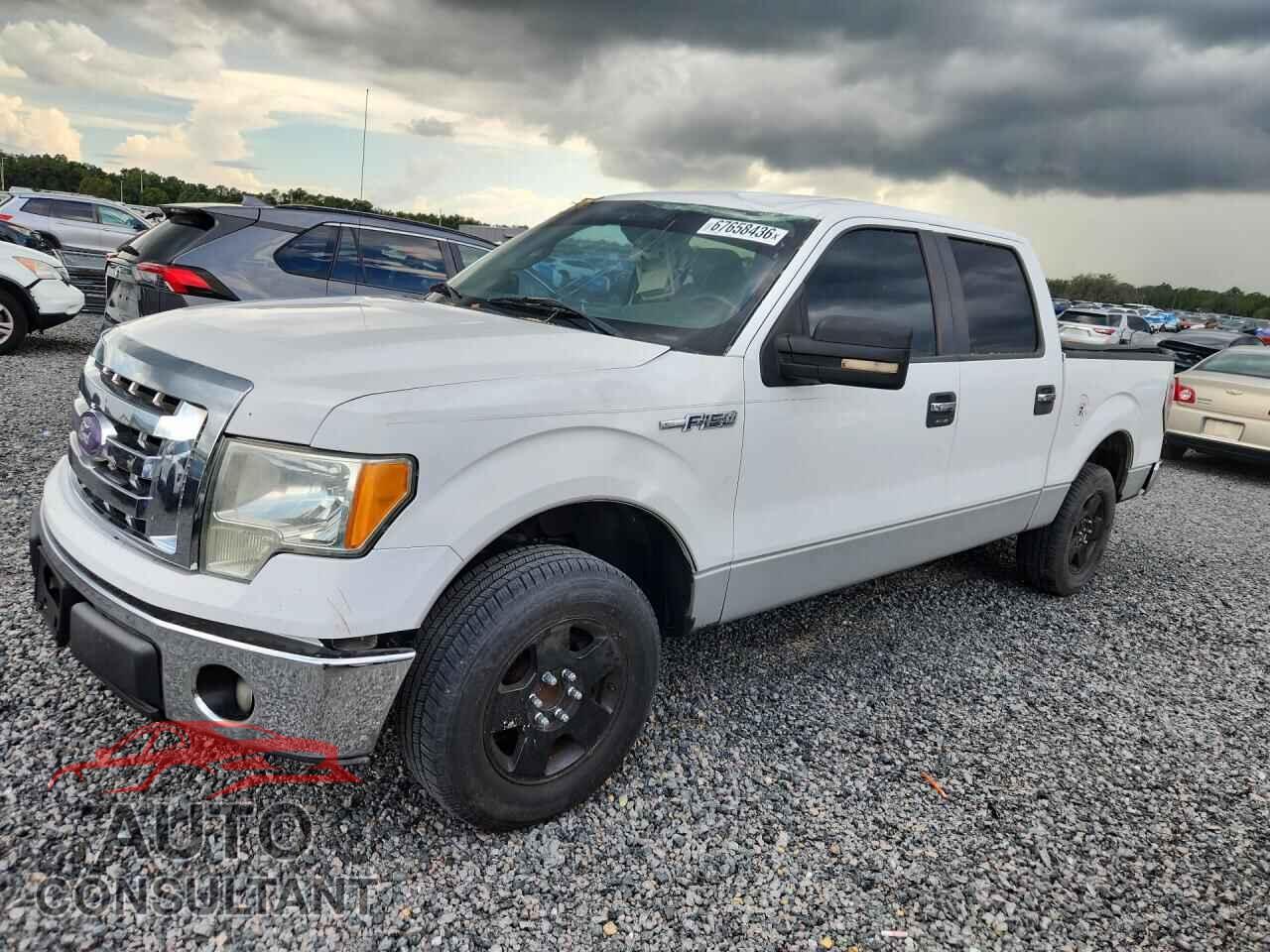 FORD F150 2009 - 1FTPW12VX9FA52161