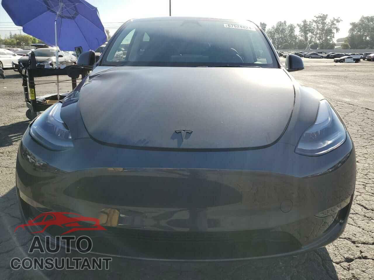 TESLA MODEL Y 2024 - 7SAYGDED1RF121025