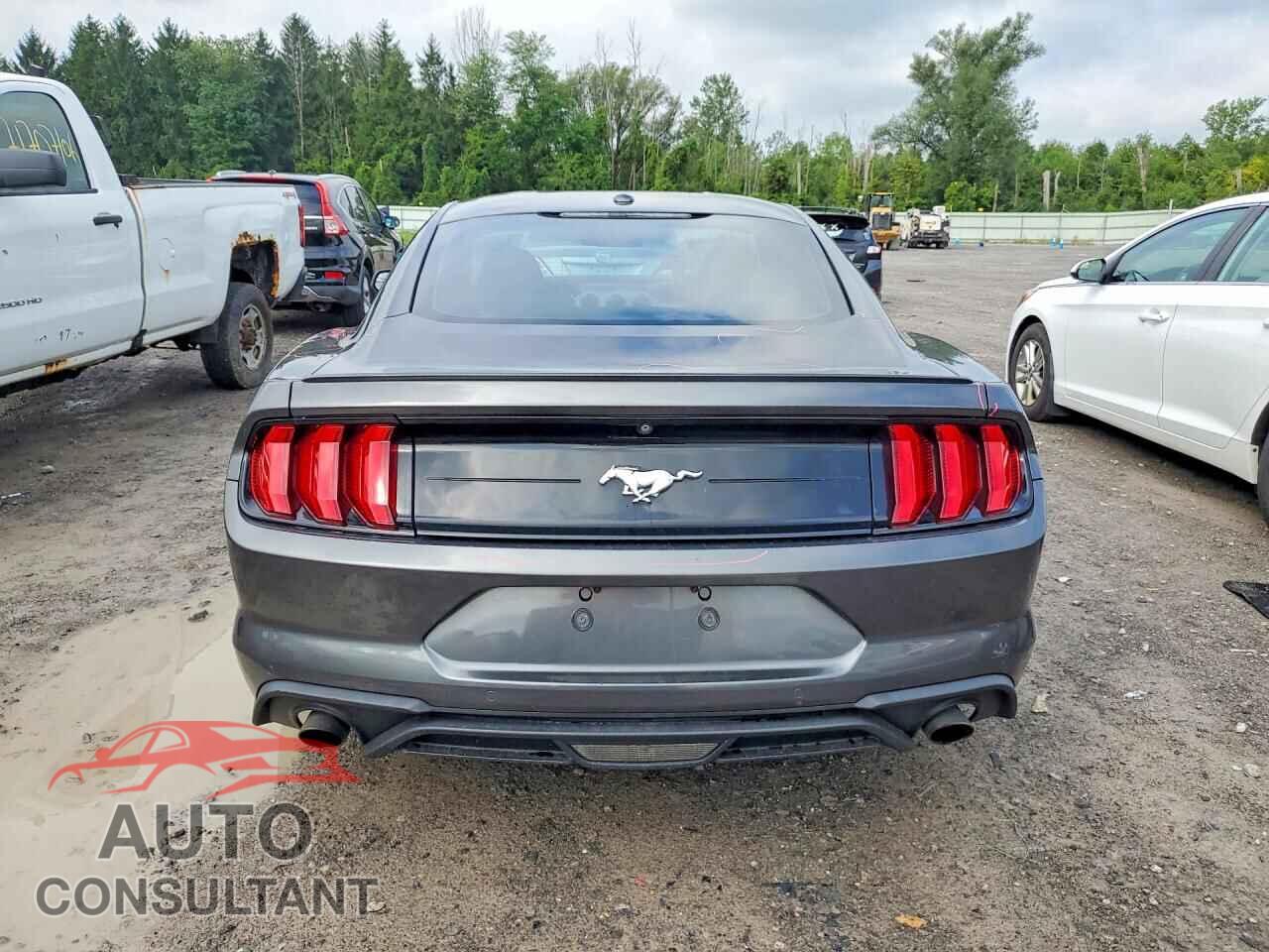 FORD MUSTANG 2019 - 1FA6P8THXK5114640