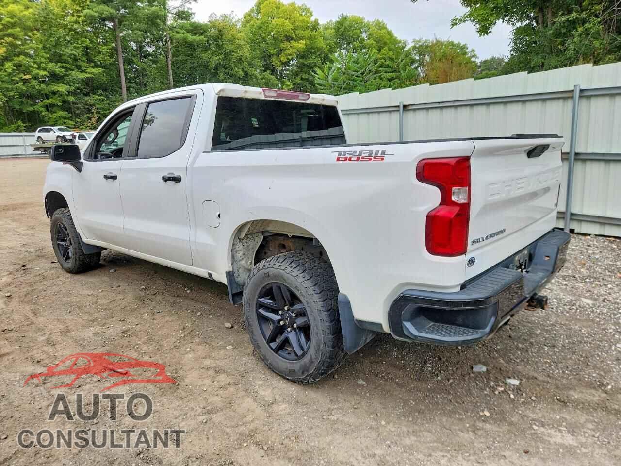 CHEVROLET SILVERADO 2019 - 1GCPYFED7KZ419256