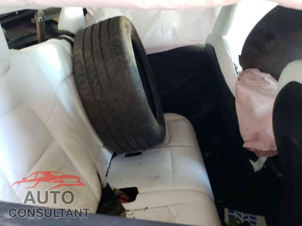 TESLA MODEL Y 2024 - 7SAYGAEE2RF124586