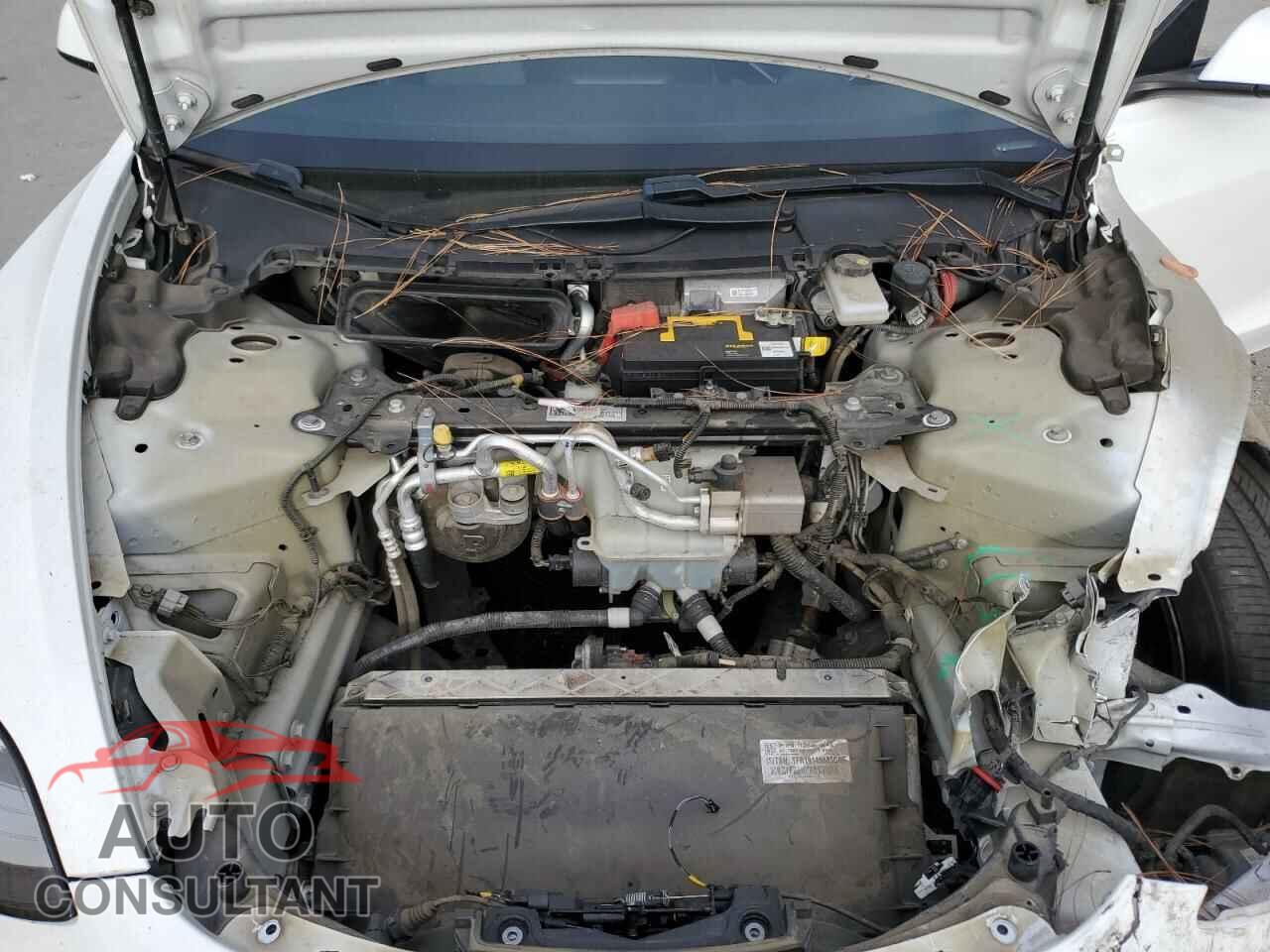 TESLA MODEL 3 2019 - 5YJ3E1EA3KF401553