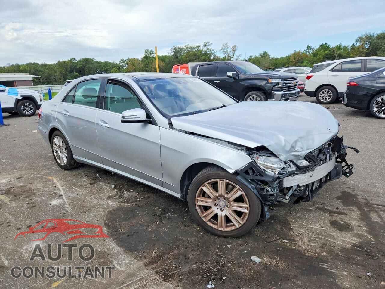 MERCEDES-BENZ E-CLASS 2013 - WDDHF2EB2DA713219