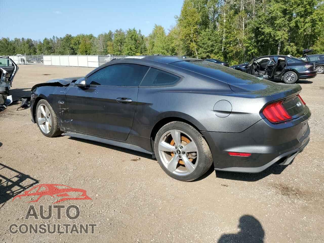 FORD MUSTANG 2019 - 1FA6P8CF6K5190189