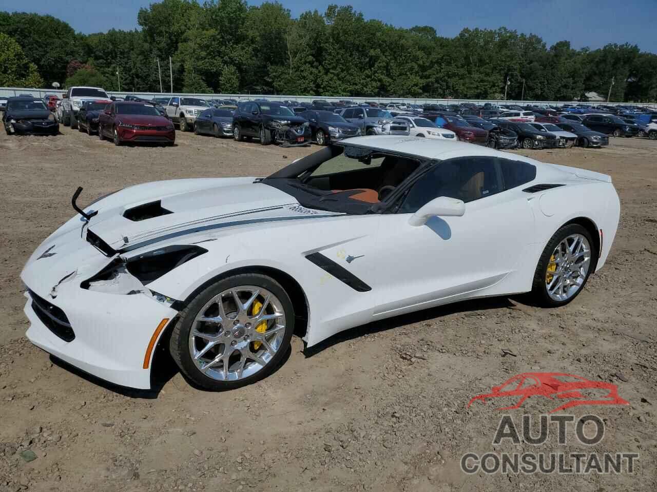 CHEVROLET CORVETTE 2019 - 1G1YD2D78K5124719