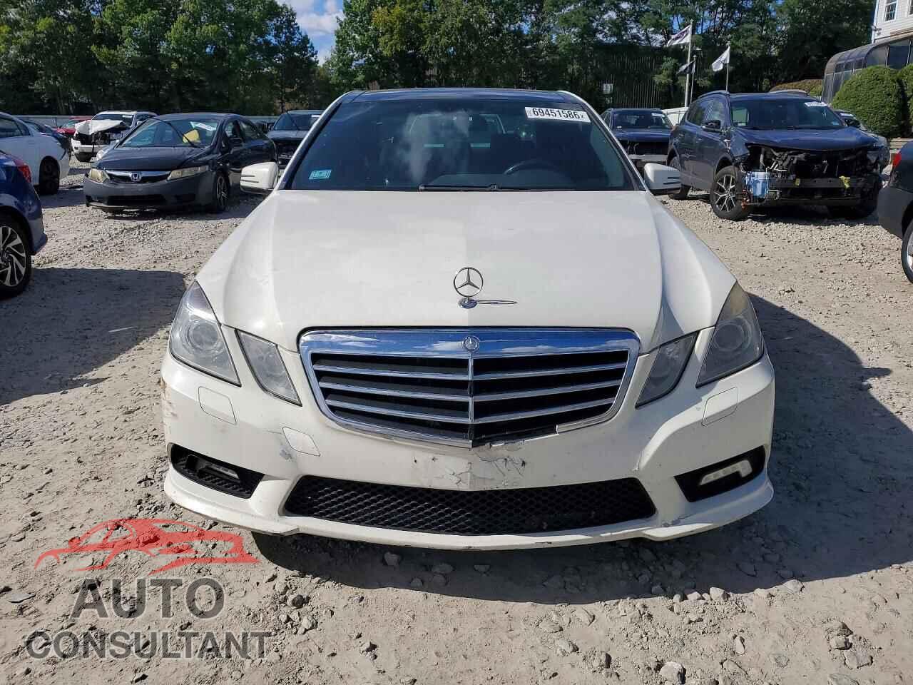 MERCEDES-BENZ E-CLASS 2010 - WDDHF8HB1AA170956