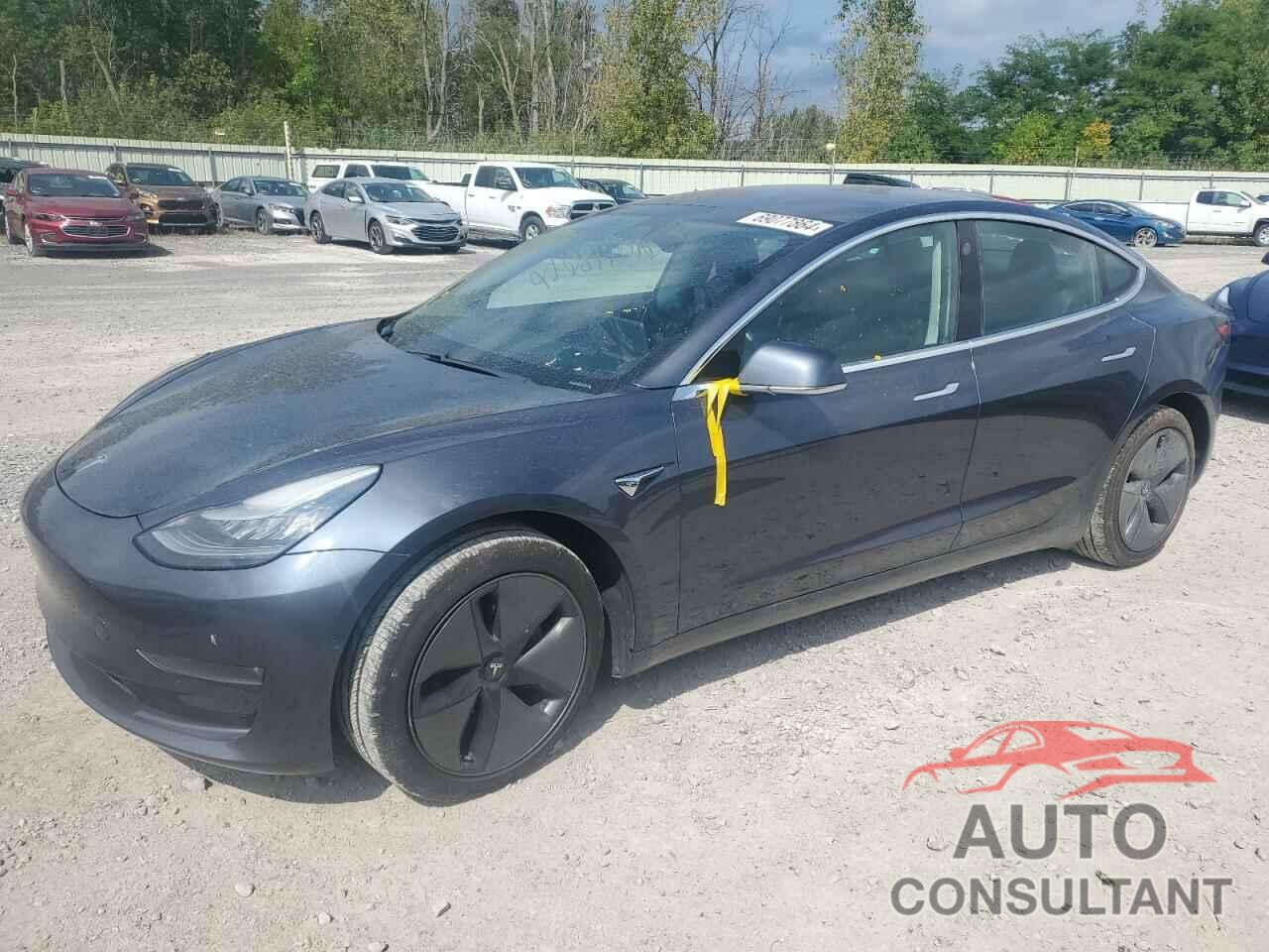 TESLA MODEL 3 2019 - 5YJ3E1EB3KF205671